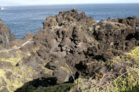 Café Portugal - PASSEIO DE JORNALISTAS nos Açores - Pico - Cachorro