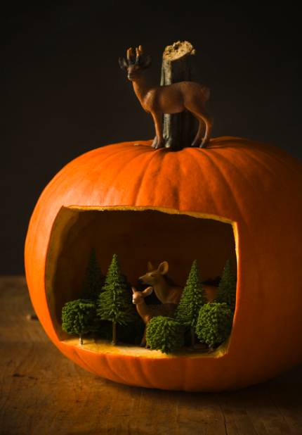 http://sweetpaul.typepad.com/my_weblog/2010/10/forest-scene-pumpkin.html