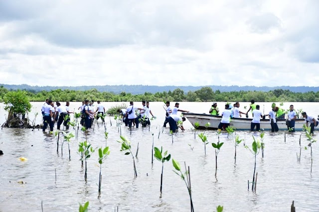 TNI AL dan Bandara DEO Tanam Ribuan Bibit Pohon Mangrove