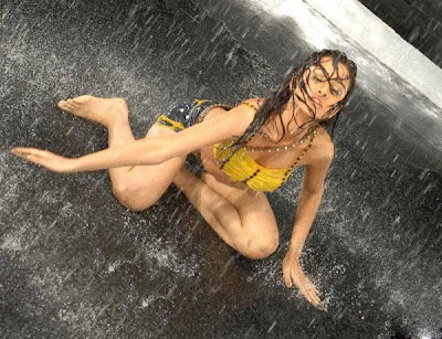 Nisha Kothari Sexy Monsoon Photoshoot