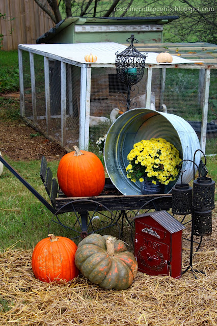 Backyard Chickens, Backyard Ducks, Hobby Farm, Coops