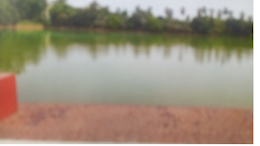 Halder pukur of Kamarpukur