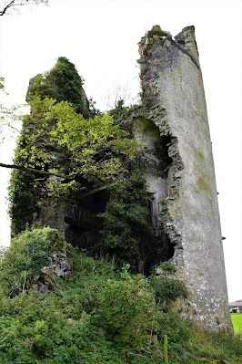 Grantstown Castle Laois