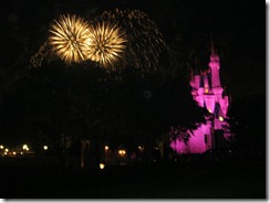 disney 2011 220
