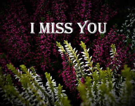 I Miss You