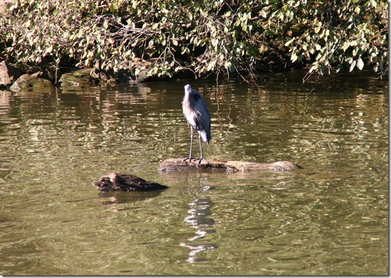 ColumbusMarina 17Oct23 (21)