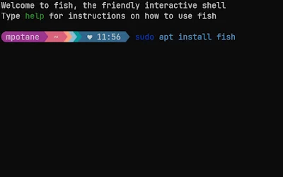 commands in fish shell