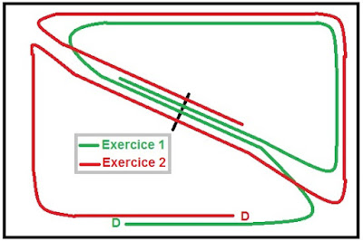 exercice obstacle équitation