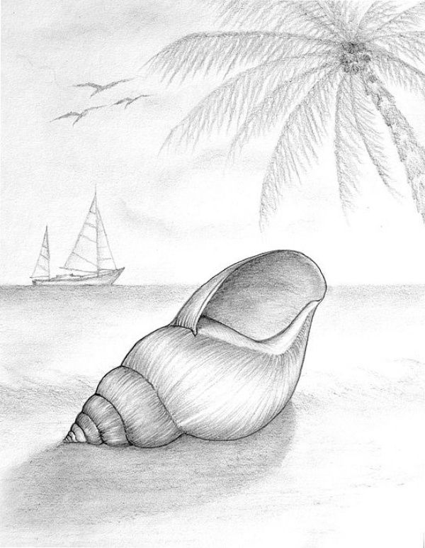 Pencil sKetch Of Nature For Beginner