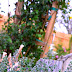 CaptureYour365 POTD: Garden