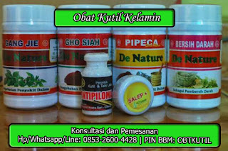 Obat Kutil Kelamin