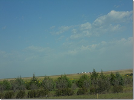 DSCN0494