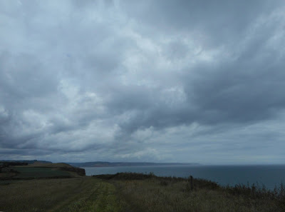 East Devon coast, July. Photograph copyright © Belinda Whitworth 2020