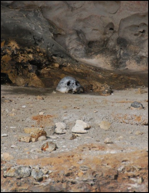 Burial Caves, Arguni