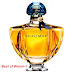 10 Best Smelling Women’s Perfumes of All Time in the world women 