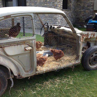Chicken coop car (It's a Yolkswagon)