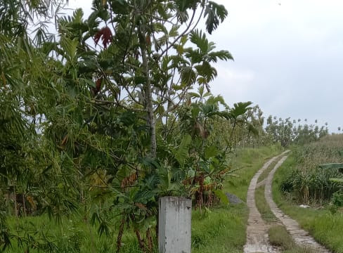 Diduga Lemah Dalam Perencanaan, Pembangunan Infrastruktur TA. 2022 di Desa Ngrandu  Gagal Terlaksana, LSM ICI Akan Lapor ke APH