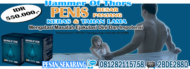 obat hammer of thor asli