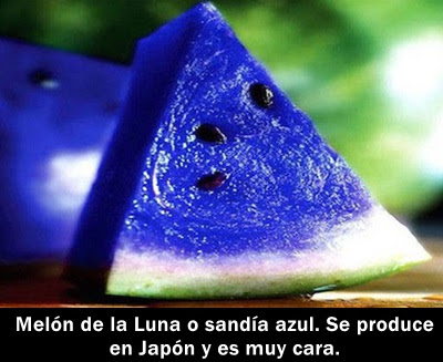 sandia-falsa