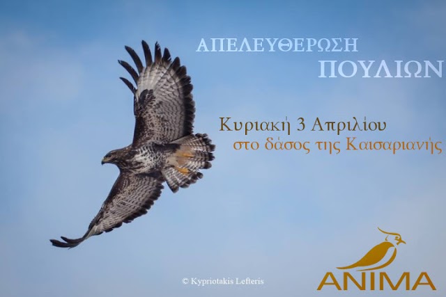 Πρόσκληση σε απελευθέρωση