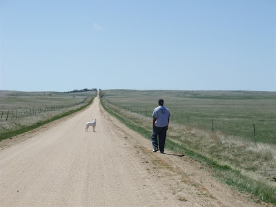 lonley road, dog, walk, dirt road