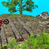 GAME FOREST BIKE TRIALS 2019