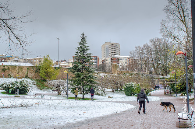 Logroño nevado enero 2021
