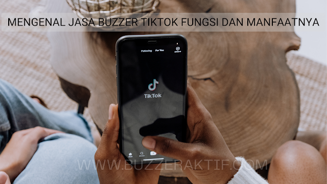 Mengenal Jasa Buzzer Tiktok, Fungsi Dan Manfaatnya