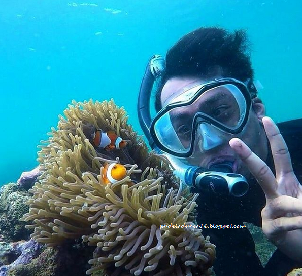 [http://FindWisata.blogspot.com] Bangsring Underwater, Mengeksplor Keindahan Panorama Alam Bawah Laut