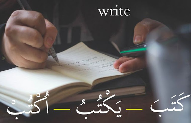 write in arabic language with sentence examples