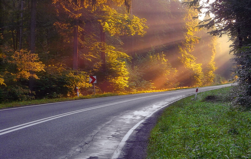 Rowerowa pielgrzymka do Częstochowy na Jasną Górę, bo jeden przyświecał mi cel - gdzieś w lesie promienie słońca oświetlające drzewa