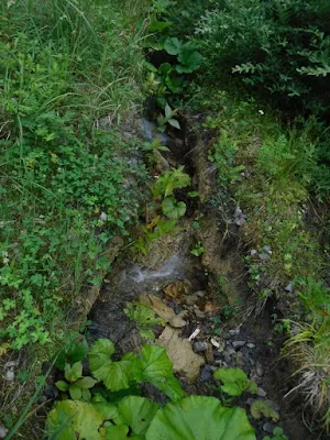 林道にできた深い溝