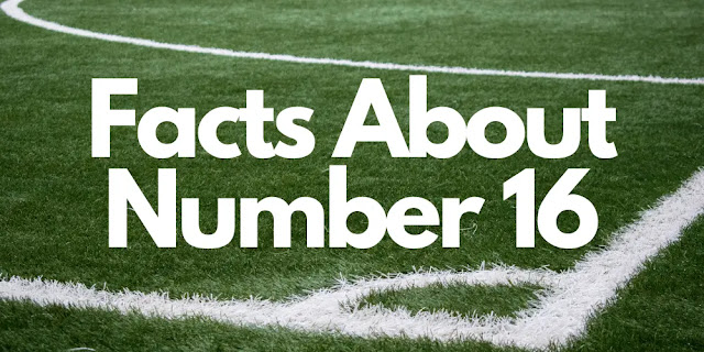Facts About Number 16