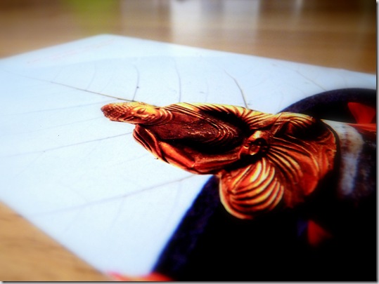 Postkarte von Patricia