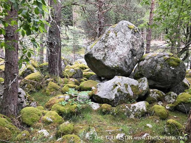 Three huge and countless smaller boulders covered with moss in a thick forest.