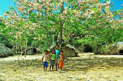 Oeseli Beach - Rote Island