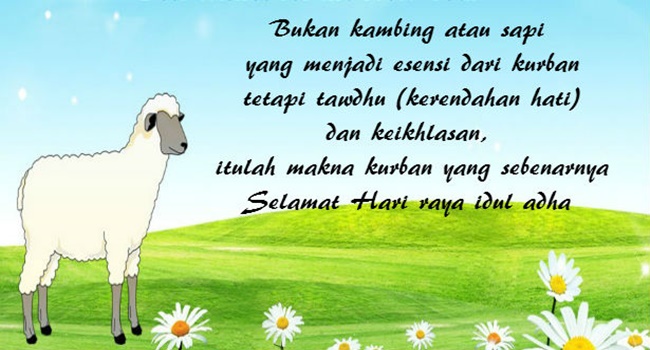 Sms Kata Kata  Mutiara  Ucapan Selamat Hari  Raya Idul Adha 