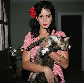 Katy Perry dan Kitty Purry