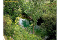 turismo-rural-el-burgo-malaga