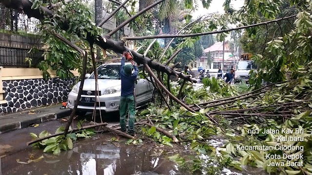 Babinsa Koramil 03/Sukmajaya Gerak Cepat Evakuasi Pohon Tumbang