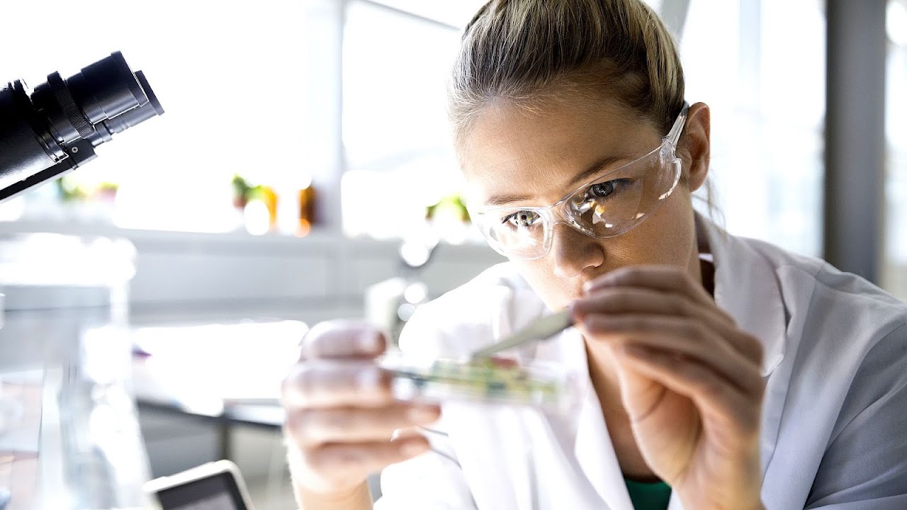 How Does A Hypothesis Help Scientists Understand The Natural World Science