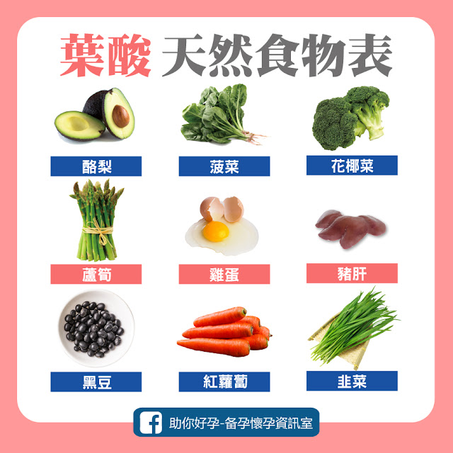 9種葉酸天然食物