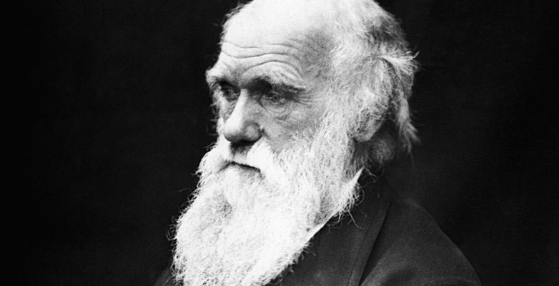 día darwin, evolución, nacimiento darwin, charles darwin, descendemos de los simios, árbol genealógico del hombre