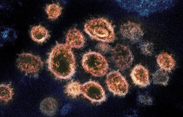 Number of infected coronavirus epidemics in India