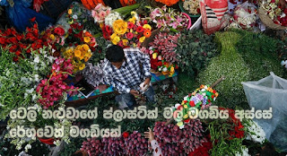 Customs' fraud via tele-actor's trickery of plastic flowers