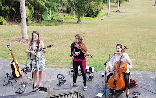 Photograph. A music performance at Botanic Gardens