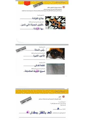 حل كتاب اكتشف للصف الثالث الابتدائي الترم الأول PDF