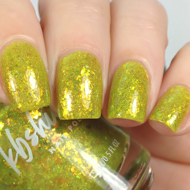 KBShimmer-Something To Taco ‘Bout