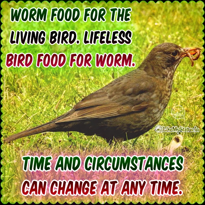 Worm food for the living bird