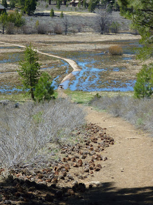 Tomkins Memorial Trail (TMT)